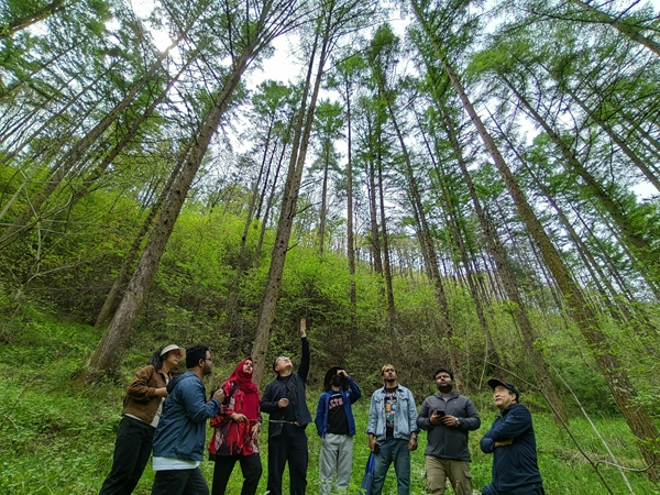 六合彩现场直播
专家带领亚太森林留学生学习森林更新及经济林栽培技术_600副本.jpg