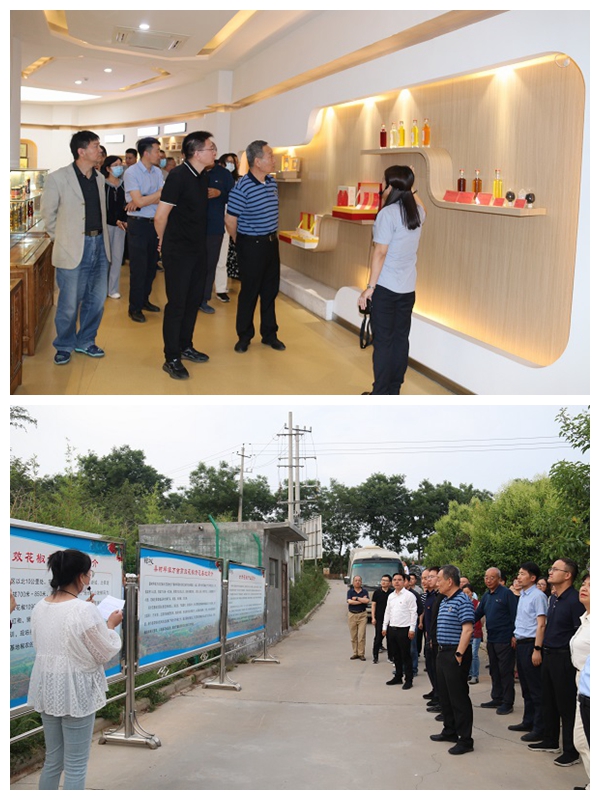 17ed63faa28f48849b6c3ff2c00042c6.jpg 光影魔术手拼图1.jpg