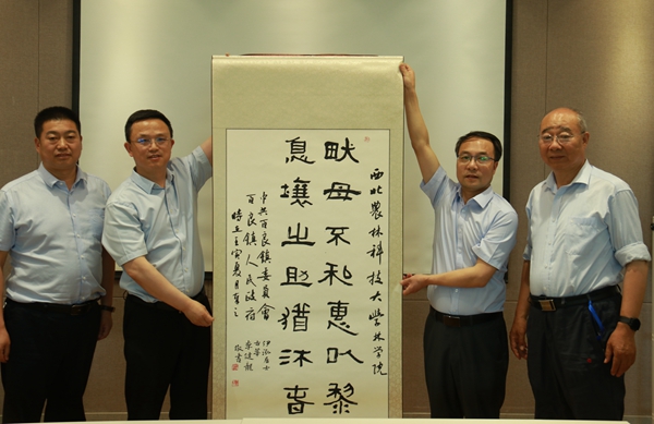 1e298576ec514b6db24b5a5553bd56b9.jpg IMG_9229.JPG