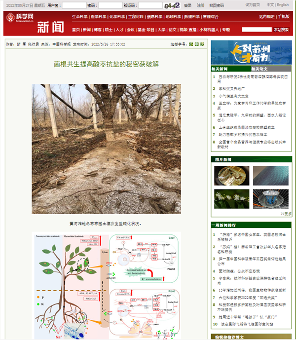 b2901a13eda24519abb0b603510fc9df.png QQ截图20220527084951.png