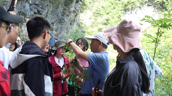 bb276fa6b53e436ab6855784acca1000.jpg 9.jpg