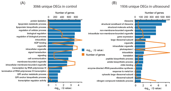 02acec35b1b94c3ca61c4b0fd5564c1b.png 图片3.png
