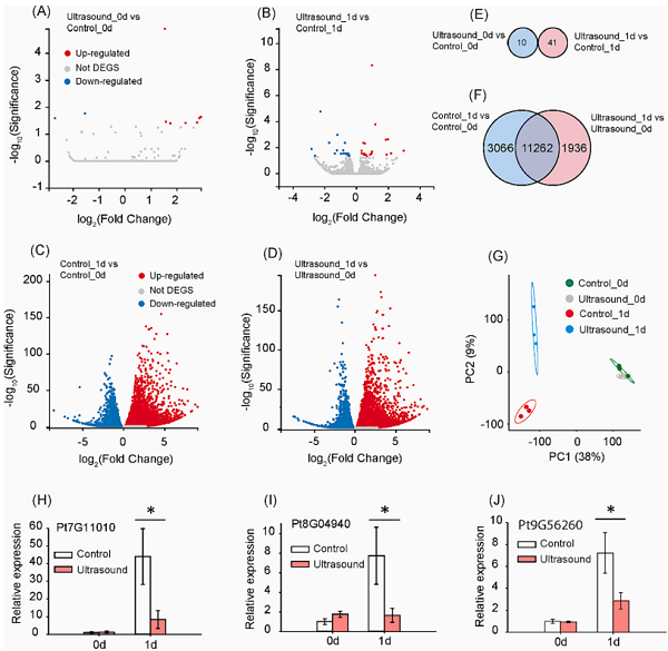 1f1260e29c224bcfb41b8683343d236f.png 图片2.png