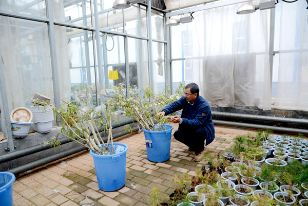 43042c411e3249609ce08f80baff66ec.png 1_副本.png