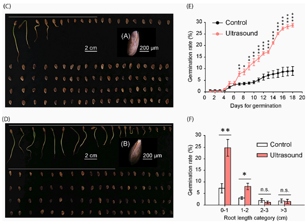 7b1323e4b8d5464e926882f6b22cbc79.png 图片1.png