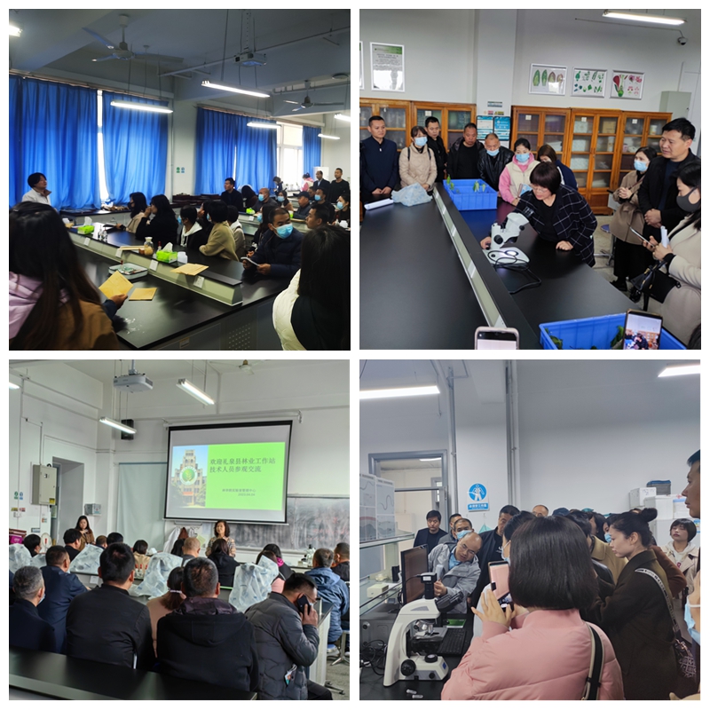 0f44dc0b09694570b12fa964f4cd8563.jpg 光影魔术手拼图.jpg