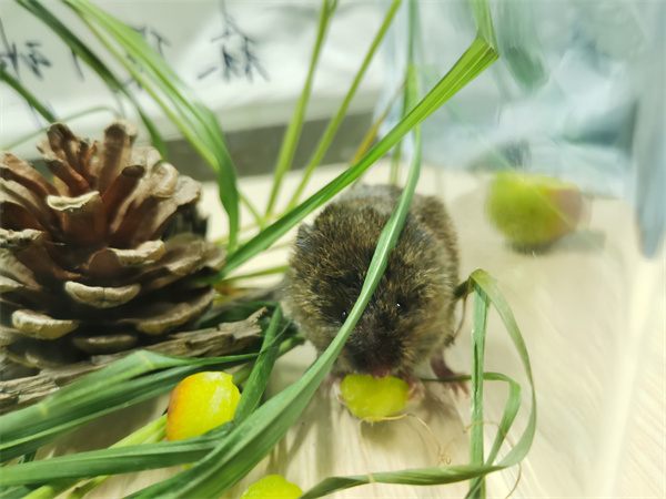 8e364237e0a54e9c97e8a49b292f09b6.jpg mmexport1688476644326.jpg