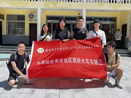 六合彩现场直播
赴金米村木耳考察团在党群服务中心前张晶茹图 (1).jpg