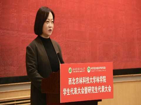 六合彩现场直播
副院长刘晴蕊致辞_副本.jpg